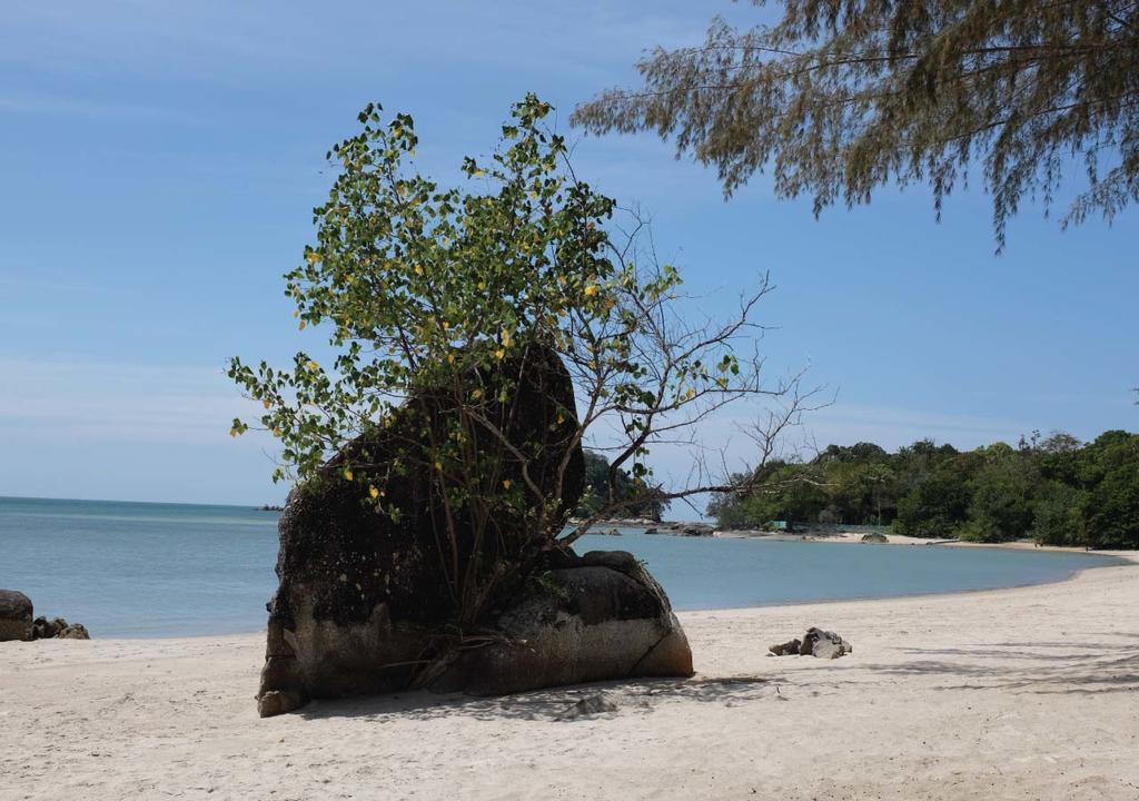 Panji Panji Tropical Wooden Home Pantai Cenang  Εξωτερικό φωτογραφία