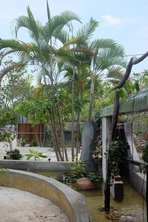 Panji Panji Tropical Wooden Home Pantai Cenang  Εξωτερικό φωτογραφία
