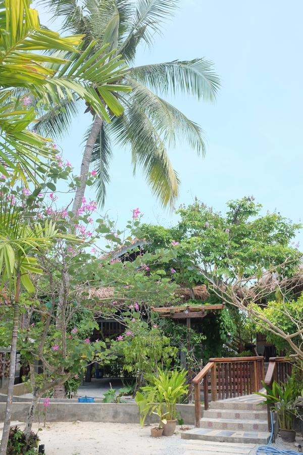 Panji Panji Tropical Wooden Home Pantai Cenang  Εξωτερικό φωτογραφία